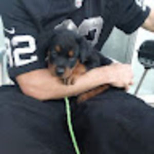 Meet your Posher, Logan